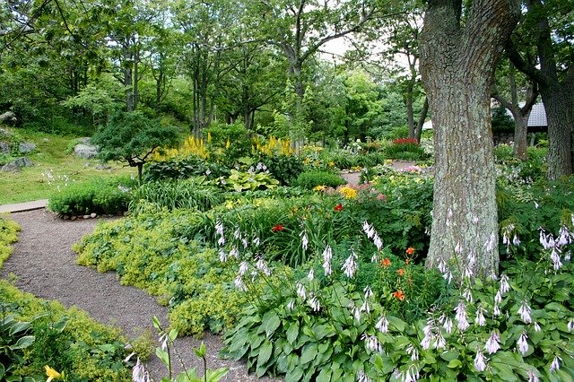 Entretien d’un jardin par un professionnel